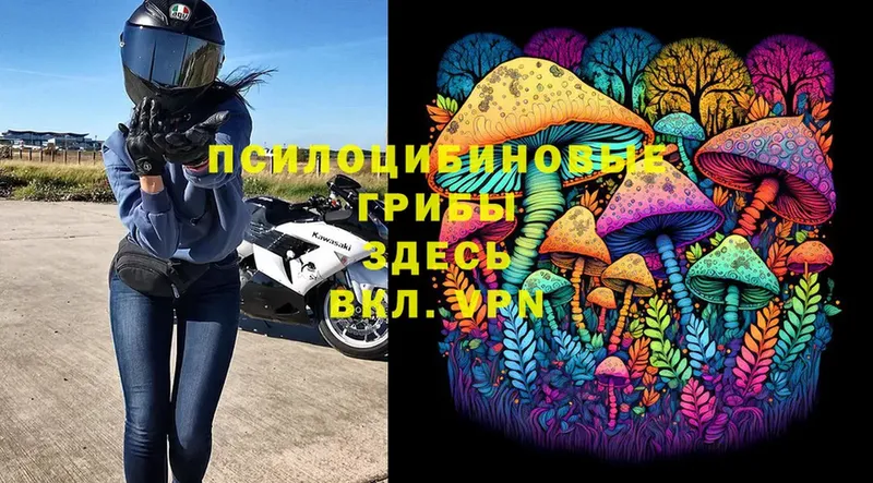 Галлюциногенные грибы Magic Shrooms  Буй 